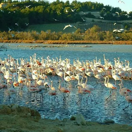 Camping Sigean Sigean