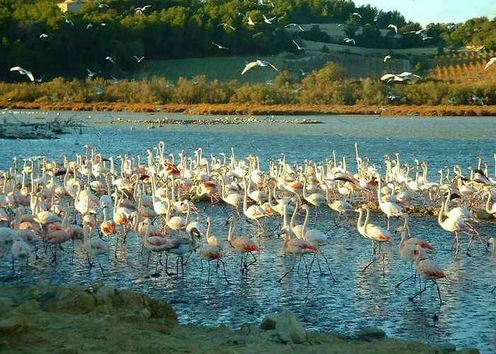 Camping Sigean Sigean