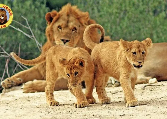 Campeggio Camping Sigean Sigean